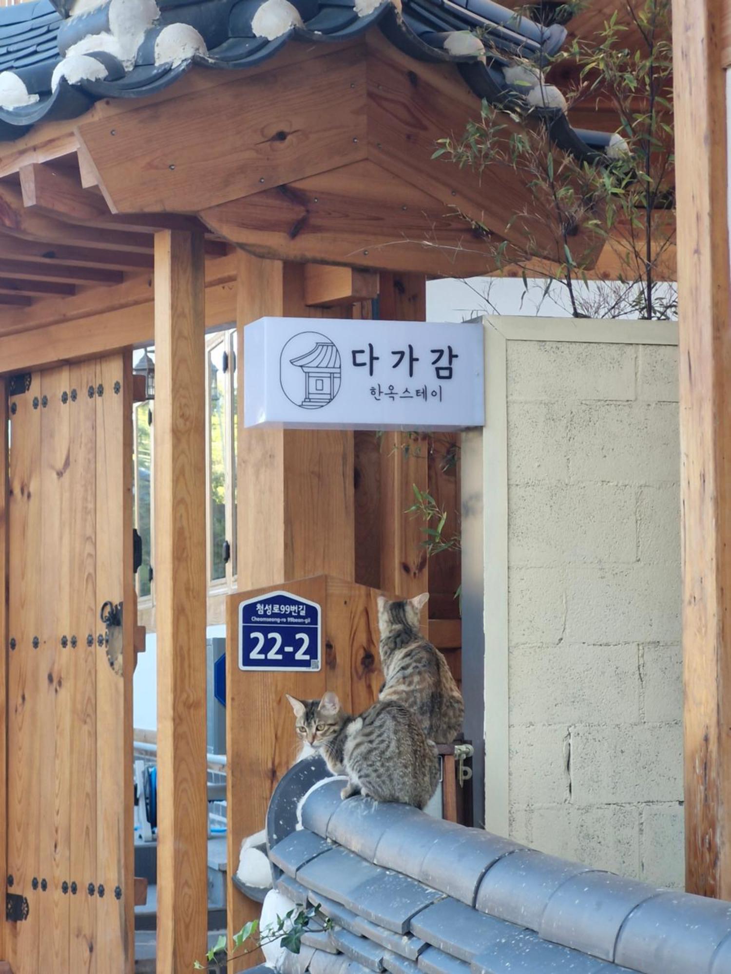 Hanok Stay Da-Ga-Gam Gyeongju Eksteriør bilde